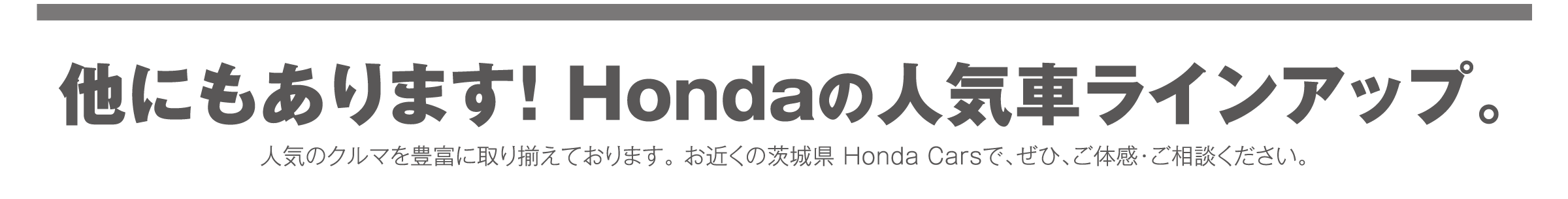 Hondaの人気車ラインアップ！